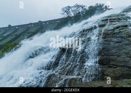 Wilson Mutter bhandardara in Monsoon Stockfoto