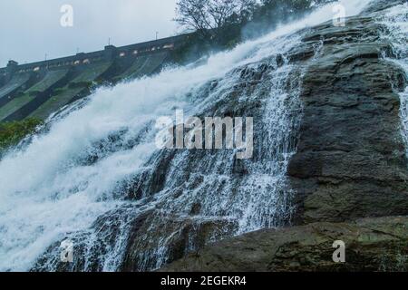 Wilson Mutter bhandardara in Monsoon Stockfoto