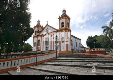 Die Kathedrale in Manaus Brasil Stockfoto