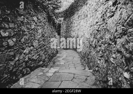 Eine schmale Gasse, umgeben von Ziegeln und Kopfsteinpflaster. In der Mitte liegt eine Treppe, die zu einer Tür und darüber hinaus führt. Konzept des Gehens auf einer unbekannten Straße Stockfoto