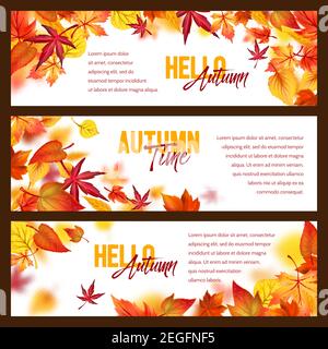 Hallo Herbstbanner von fallenden Blättern und Herbstlaub. Vector Set aus Ahorn, Eiche oder Pappel und Birke oder Kastanienblatt, Buche oder Ulme und Espe le Stock Vektor