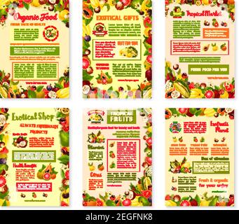 Exotische Früchte Poster oder Broschüre Vorlage tropischer Obsternte. Vektor-Design von tropischen Papaya, Passionsfrucht Maracuya oder Feigen und Durian, Bauernhof Stock Vektor