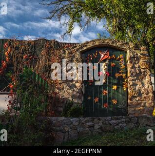 Eine Tür zum Eingang des privaten Gartens mit farbigen Pflanzen bedeckt. Herbstfarben der Blätter. Stockfoto