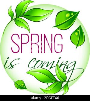 Der Frühling wird Symbol des grünen Blattes für Frühling saisonale Grußkarte. Vektor isoliert Frühling Baum Pflanze Sprossen von Blumen oder Gras mit Natur d Stock Vektor