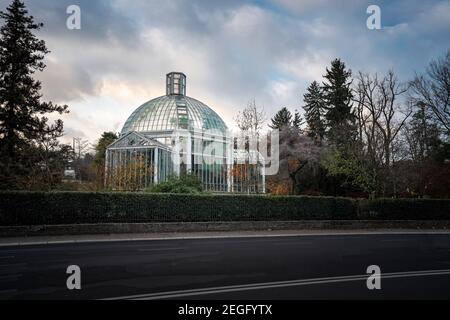 Botanischer Garten Gewächshaus - Genf, Schweiz Stockfoto