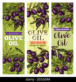 Schwarze Oliven Skizzenbanner für Olivenöl Bio-Naturprodukt. Vektor-Design-Vorlage von Blättern und grünen Olivenfrüchten für Olivenöl extra vergine Stock Vektor