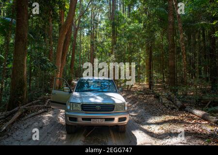4WD Fraser Island auf der Sandy Rainforest Road Stockfoto