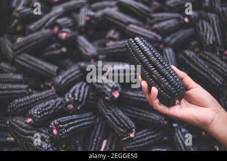 Junge Frau, die peruanischen lila Mais im Lebensmittelgeschäft, die vor allem verwendet wird, um Saft (Chicha) oder ein Gelee-wie Dessert vorzubereiten. Konzept der gesunden Stockfoto