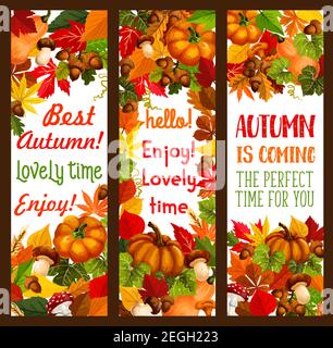 Herbstferien von Thanksgiving Day Banner-Set. Herbstblatt, Herbsternte Kürbisgemüse, orange Ahornblätter, Ahornpilze, Eichel und reifes When Stock Vektor