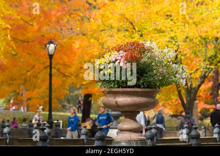 Herbstblättrige Bäume umgeben den Blumentopf und die Menschen rund um die Mall im Central Park in New York City NY USA. Stockfoto