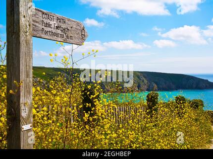 Küstenansicht in Südwestengland (Cornwall) auf einem schönen Sommertag Stockfoto