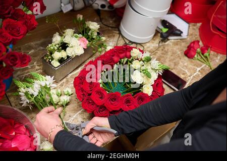 Blumenhändler, der Blumenbox mit roten Rosen und weißen Blumen auf dem Tisch macht, rote Rosen im Tank auf dem Hintergrund Stockfoto