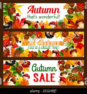 Herbst Angebot Banner Vorlage Set. Herbstsaison Rabatt Werbeflyer mit gefallenen Blatt und Wald Natur Rahmen von september Ahorn Laub, muhr Stock Vektor