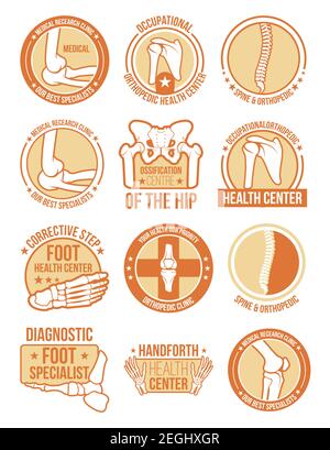 Medizinische Klinik oder Gesundheitszentrum Symbol für orthopädische und rheumatologische Medizin Design. Anatomisches Abzeichen für Gelenke und Knochen mit Knie, Wirbelsäule und Becken, Sho Stock Vektor