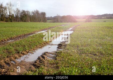 Schlammiges nasses Feld, Landstraße, schmutzige Straße mit Wasser nach starkem Regen, Frühling. Hochwasser in den Feldern während des sonnigen Tages. Suffolk UK Stockfoto