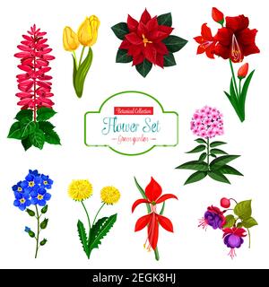 Blume Ikone Satz von Frühlingsgarten und Haus blühende Pflanze. Tulpe, Löwenzahn und Phlox, Forget-me-not, Poinsettia und Delphinium, hippeastrum, Fuchsia Stock Vektor