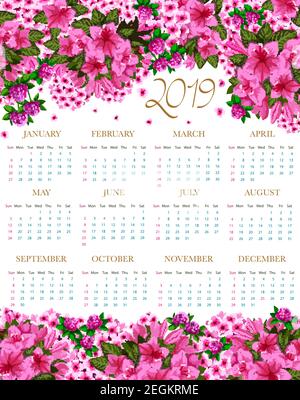 2019 Kalender der Frühlingsblumen. Vektor florales Design von blühenden Gartenrosen und florieren Hibiskus oder Klee und Krokusblüten für blumige 2019 Mo Stock Vektor