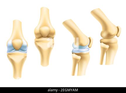 Vektorsymbole für menschliche Gelenke für die Orthopädie und Chirurgie im medizinischen Design. Vektor isolierte Symbole von Bein Knie oder Arm und Hand Gelenke mit Knorpel Synovial Stock Vektor
