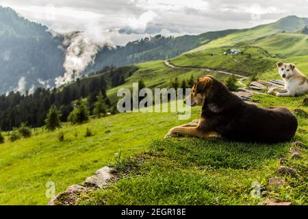 Verschiedene Ansichten von Kullu, Himachal Pradesh Stockfoto