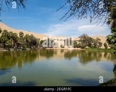 Blick auf den See in der Oase huacachina, Buggys auf Sanddünen im Hintergrund geparkt, Palmen rund um den See von der Wüste umgeben Stockfoto