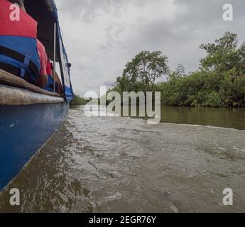 Kleine Bootsfahrt auf dem Carti Fluss auf dem Weg nach San Blas in Panama Zentralamerika, braunes Wasser und grüne Vegetation, bewölktem Tag Stockfoto