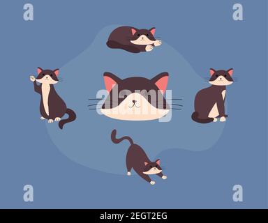 Niedliche kleine Katzen Katzen Katzen Katzen Figuren Vektor Illustration Design Stock Vektor