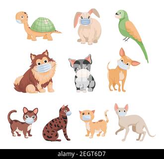 Set von niedlichen kleinen Haustieren in medizinischen Masken Vektor flache Illustration isoliert auf weißem Hintergrund. Hunde, Katzen, Kaninchen, Papageien und Schildkröten. Haustierkonzept für Tierklinik. Stock Vektor