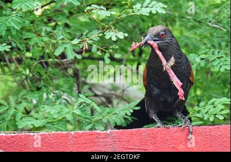 Mehr erholsam Stockfoto