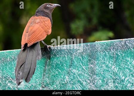 Mehr erholsam Stockfoto