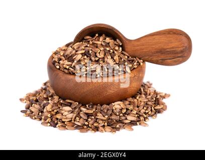 Milk Thistle Samen in Holzschale und Löffel, isoliert auf weißem Hintergrund. Silybum marianum, Scotch Thistle oder Marian Thistle. Stockfoto