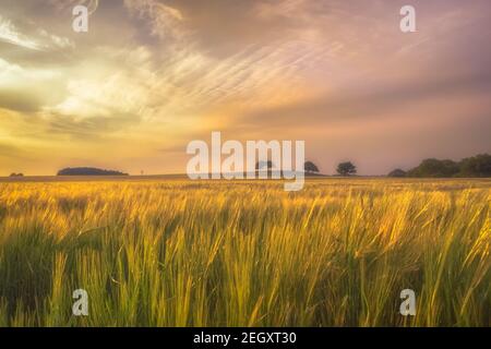 Wunderschöne Naturkulissen auf dem britischen Farmland Stockfoto
