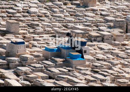 Juden beten über einem Grab auf dem Alten Jüdischen Friedhof auf dem Ölberg in Jerusalem Stockfoto