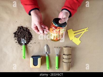 Der Mensch hält Samen für die Pflanzung und Fertiggemüse aus dem eigenen Garten. Das Konzept der gesunden Ernährung. Gartenobjekte auf der Tischansicht Stockfoto