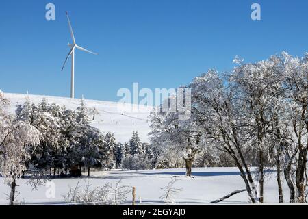 Windkraftanlage im Winterfeld, schneebedeckte Landschaft Stockfoto