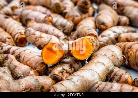 Kurkuma Wurzeln Nahaufnahme. Frische Ernte von vielen Kurkuma Wurzeln Hintergrundstruktur. Stockfoto