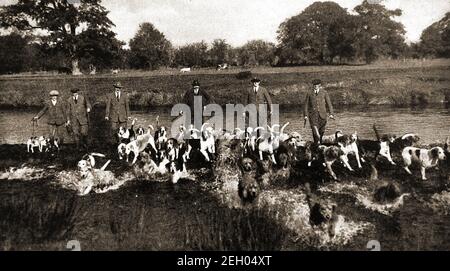 Ein frühes gedrucktes Foto zeigt das Hawkstone Otter Hound Pack im Fluss Severn in LLandinham, Wales, UK Otterhounds sind eine alte britische Hunderasse, jetzt eine verletzliche Native Rasse mit nur 600 Tieren weltweit. Es hat ein raues fettiges Fell und Webbeet Füße, kann aber auf Land oder Wasser jagen. Früher weit verbreitet, kommen diese Tiere jetzt sporadisch vor und sind jetzt durch das Wildlife and Countryside Act (1981) geschützt, was bedeutet, dass sie nicht getötet, gehalten oder verkauft werden können (auch als ausgestopfte Exemplare) außer unter Lizenz. Die Jagdgruppe der Otterhunde wurde in den 1970er Jahren aufgelöst Stockfoto