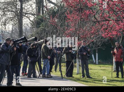 Nanjing, Chinas Provinz Jiangsu. Februar 2021, 19th. Menschen fotografieren in einem Garten in der Nähe des Xuanwu Sees in Nanjing, der Hauptstadt der ostchinesischen Provinz Jiangsu, am 19. Februar 2021. Quelle: Yang Lei/Xinhua/Alamy Live News Stockfoto