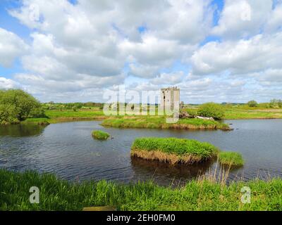 Threave Castle am Fluss Dee in der Nähe von Castle Douglas, Dumfries und Galloway, Schottland. Das Schloss steht auf einer Insel und ist nur mit einer kleinen Bootsfahrt zu erreichen. Es wurde in den 1370er Jahren von Archibald dem Grim erbaut und war eine Hochburg der 'Black Douglases', der Earls of Douglas und der Lords of Galloway. Der Keep und das Artillerierhaus stehen noch. Nach einer Belagerung während des Bischofskrieges ordneten die Covenanters an, die Gebäude zu demontieren und die Materialien für die Öffentlichkeit zu entsorgen. Stockfoto