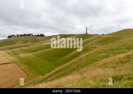 Blick über die Hügelseite in Richtung Cherhill White Horse und Lansdowne Monument, Cherhill Downs, in der Nähe von Cherhill in Wiltshire, England. Stockfoto