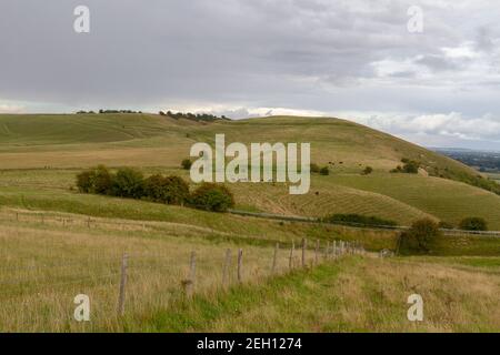 Blick in Richtung Knap Hill (mit einem Causewayed Enclosure, eine Form neolithischer Erdarbeiten) auf Pewsey Downs, Wiltshire, Großbritannien. Stockfoto