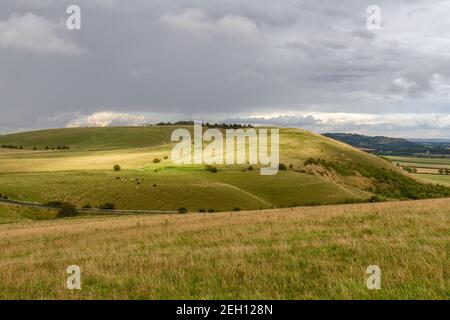 Blick in Richtung Knap Hill (mit einem Causewayed Enclosure, eine Form neolithischer Erdarbeiten) auf Pewsey Downs, Wiltshire, Großbritannien. Stockfoto