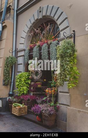 Schaufenster mit bunten Blumen und Blumentöpfen am Eingang zu Der Blumenladen Stockfoto