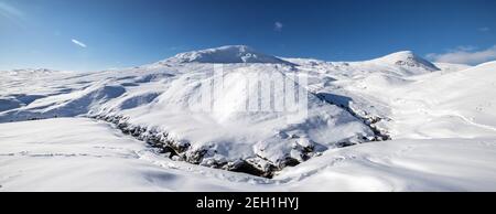 The Tail Burn im Winter , der Strom aus dem abgelegenen Loch Skeen mit White Coomb und Mid Craig als Hintergrund Stockfoto