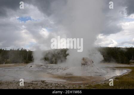 Giant Geyser in Old Faithful Geothermal Area im Yellowstone National Park, Wyoming, USA Stockfoto