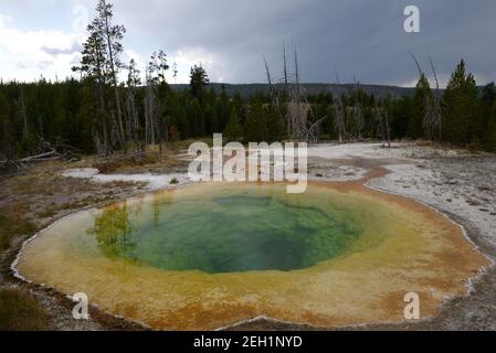 Morning Glory Pool im Old Faithful Geothermal Area im Yellowstone National Park, Wyoming, USA Stockfoto