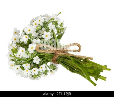 Bouquet von weißen wilden Vergissmeinnicht-Blumen in Tautropfen und gebunden mit Schleife, isoliert auf weißem Hintergrund Stockfoto