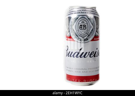 Sandhurst, Vereinigtes Königreich; Februar 13th 2021:- EINE Dose Budweiser isoliert auf weißem Hintergrund Stockfoto