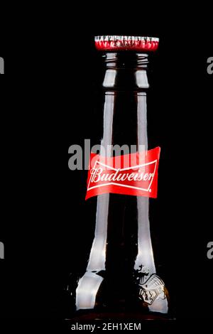 Sandhurst, Vereinigtes Königreich; Februar 16th 2021:- EINE Nahaufnahme einer offenen Flasche Budweiser mit einem Flaschenverschluss auf der Lippe, isoliert auf einem schwarzen Hintergrund Stockfoto