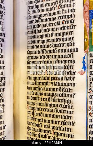 Nahaufnahme einer Seite der 600 Jahre alten vierteiligen Malmesbury-Bibel, ausgestellt in der Malmesbury Abbey, Malmesbury, Wiltshire, Großbritannien. Stockfoto