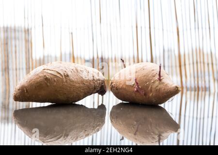 Zwei Süßkartoffeln auf einem Tisch in einem Sommertag in der Nähe. Selektiver Fokus. Stockfoto